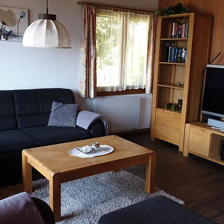 Hinkelstein In Beatenberg Traumhafte Aussicht Auf Eiger, Mönch&jungfrau Ferienhaus Sundlauenen